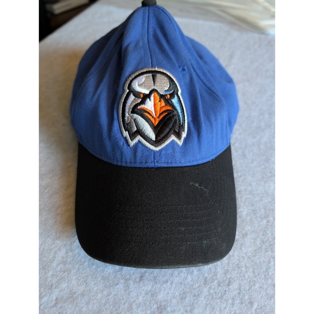 Aberdeen Ironbirds Minor League Baseball Hat OC SPORTS Cap Hat Iron Bird Blue - Picture 6 of 11